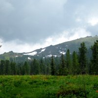 Весна в Ергаках. :: Любовь Иванова