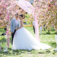 Свадьба в цветущих садах :: Юлия Атаманова