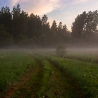 Вечерний покров :: Дмитрий Б.