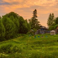 Маленькая пасека :: Владимир Голиков