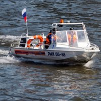 "чип и дейл"спешат на помощь :: Олег Лукьянов