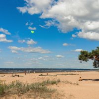 В прохладный день на заливе :: Виталий 