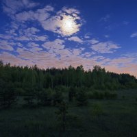 Лунная майская ночь :: Олег Пученков