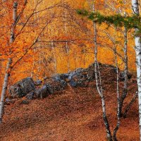 Осенняя сказка... :: Галина Стрельченя