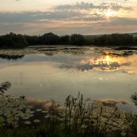 Гумбейка :: Евгения Кузнецова