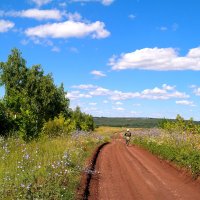 Я долго буду гнать велосипед.. :: Андрей Заломленков