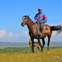 *** :: Николай Елисеев