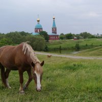 *** :: Владимир Зайцев