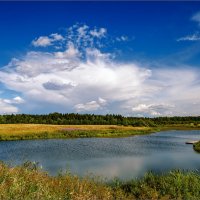 Летний полдень... :: Александр Никитинский