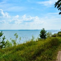 Зелень и вода что ещё нужно для счастья :: Света Кондрашова