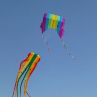 Фестиваль воздушных змеев «Летать легко!» :: Наиля 