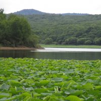 Кронштадтское водохранилище. Приморский край. :: Татьяна Тумина