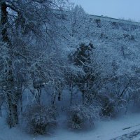 Зимняя   погода  в  Ивано - Франковске :: Андрей  Васильевич Коляскин