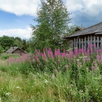 Деревни Вологодчины... :: Федор Кованский