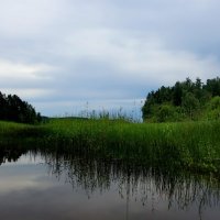 ...в воздухе пахнет грозой..... :: Ольга Cоломатина