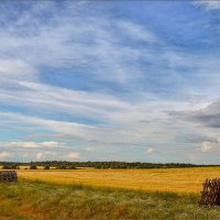 Картинка летняя... :: Александр Никитинский