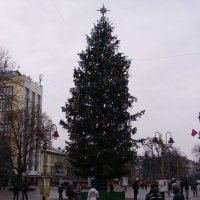 Новогодняя  ёлка  в  Ивано - Франковске :: Андрей  Васильевич Коляскин