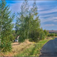 Дорога :: Александр Лихачёв