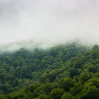 не туман, это туча сползает с горы :: Дмитрий Карышев