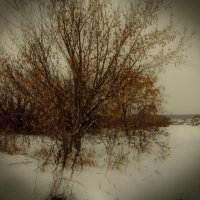 winter :: Юлия Денискина