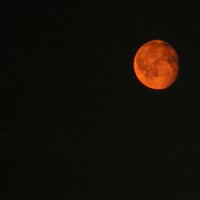 А за окном в полях гуляет по небу красная луна...))) :: Владимир Хиль