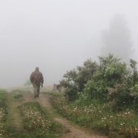 На прогулке... :: Александр Широнин