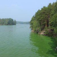 Зелёная вода-озеро цветёт. :: Тыртышных Светлана 