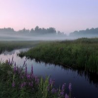 Туман ладошками пей...... :: Павлова Татьяна Павлова