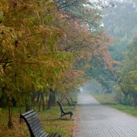 Осень в парке :: Владимир 