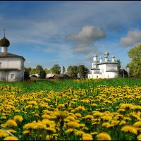 Каргополь. :: Виталий Внимательный.