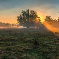 Прожектор :: Владимир Костылев