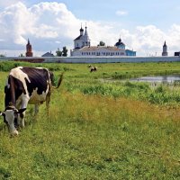 Богоро́дице-Рожде́ственский Бобре́нев монасты́рь :: Евгений Жиляев