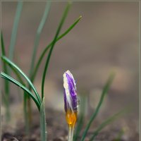 Аж вспотел... :: Валерий Басыров