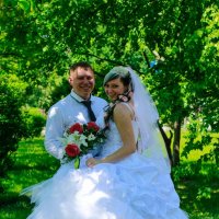 свадьба :: сергей михайлов
