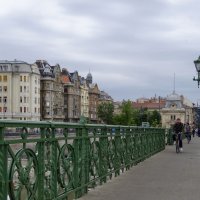 Зелёный мост  "Свободы" в Будапеште. :: Ольга 