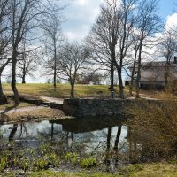 Pond :: Светлана Белова (Груздева)