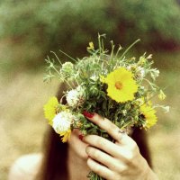 «Никогда не надо слушать, что говорят цветы. Надо просто смотреть на них и дышать их ароматом» :: Алёна Дягелева