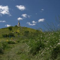 Холки :: Настенька Пшеничная