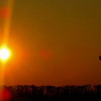 Воздушный шар на закате :: Алина Лысова
