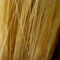Волосы(Пшеничка) :: Алина Лысова