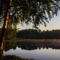 утро у воды :: Алексей Герасимов