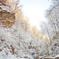 Руфабго в снегу :: Елена Шмелькова