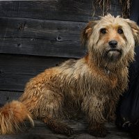 Вообще-то я с рыбалки и устала! :: Евгений Усатов