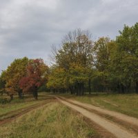 Летом все дороги ведут в Осень... Скоро уже. :: Фёдор Куракин