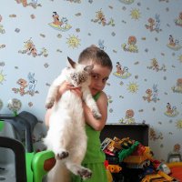 Нет хуже наказания из всех земных страстей, чем сильная любовь к котам детей... :: Людмила Огнева 