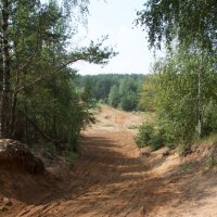дорога в лесу :: Алексей Совалев