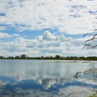 Отличная погода :: Николай Мальцев