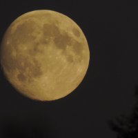 Луна :: Екатерина_Марчкова 