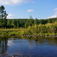 Речка Невонка. :: Галина Подлопушная