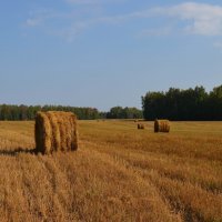 В конце августа :: Вера Андреева